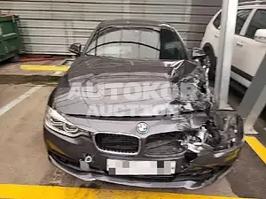 2017, BMW / 320, 171445 км., diesel, 2000 куб.см.