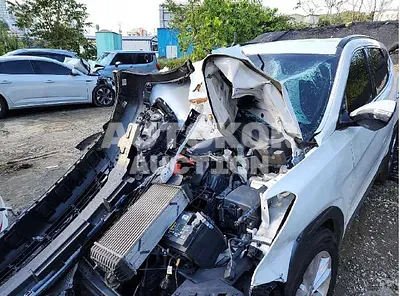 2017, Hyundai / Santa FE, VIN: KMHSW81UBHU763439, diesel