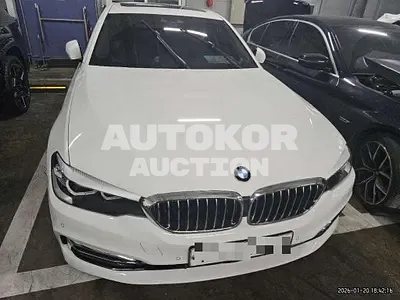 2020, BMW / 520, 53900 км., gas
