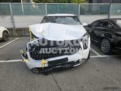 2025, Kia / Carnival, VIN: KNANC813BSS568828, gas