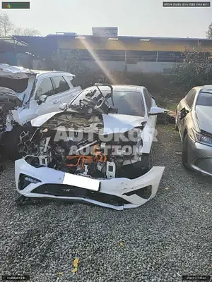 2019, Kia / K5, VIN: KNAGW41EBLA042516, hybrid
