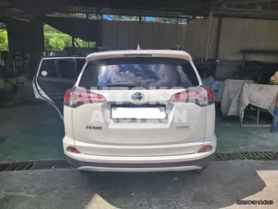 2016, Toyota / RAV4, VIN: JTMYFREV0GD088139, gas