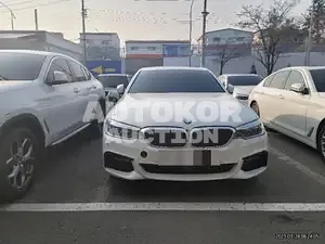 2019, BMW / 520, VIN: WBAJF3104LCD51502, 43130 км., diesel