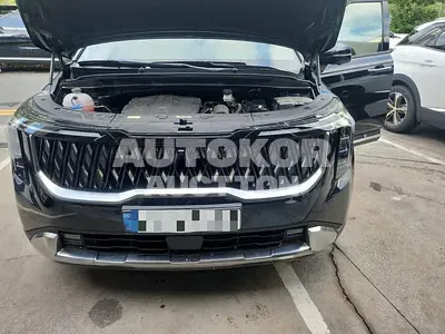 2025, Kia / Carnival, 23276 км., diesel, 2200 куб.см.