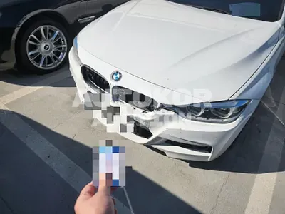 2017, BMW / 320, diesel