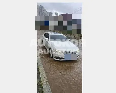 2018, BMW / 520, 164141 км., diesel, 1995 куб.см.