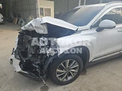 2019, Hyundai / Santa FE, VIN: KMHS281BBLU223320, 170461 км., gas