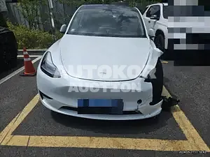 2024, Tesla / Model Y, 2000 км., electric