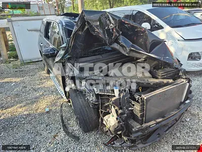2021, Hyundai / Palisade, VIN: KMHR581EDMU271845, 33819 км., gas