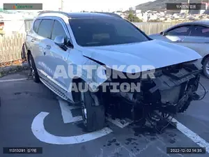 2019, Hyundai / Santa FE, VIN: KMHS581BBLU196955, diesel