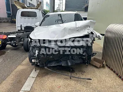 2019, Hyundai / Santa FE, VIN: KMHS381CBKU016832, 83029 км., diesel