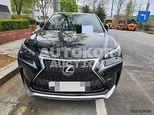 2016, Lexus / NX 200, VIN: JTJBARBZ2H2096247, 130261 км., gas