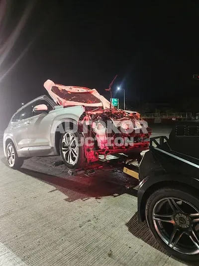 2019, Hyundai / Santa FE, VIN: KMHS381BBLU198774, diesel