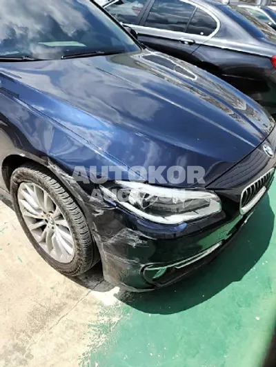 2015, BMW / 528, VIN: WBA5A5109FG175536, gas