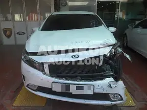2016, BMW / Z1, VIN: KNAFX412BGA944878, 103090 км., gas, 1591 куб.см.