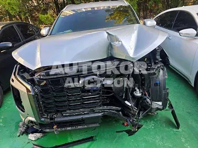 2024, Hyundai / Palisade, 43917 км., diesel, 2200 куб.см.