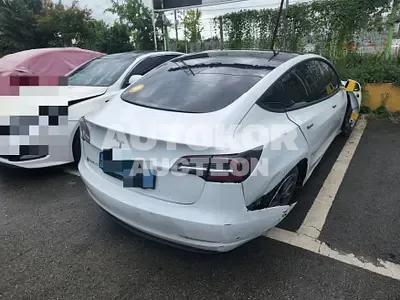 2020, Tesla / Model 3, VIN: 5YJ3E1EA8LF691421, 119783 км., electric