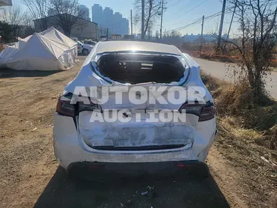 2024, Tesla / Model Y, electric