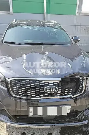 2018, Kia / Sorento, VIN: KNAPS81ABKA479906, diesel, 2000 куб.см.
