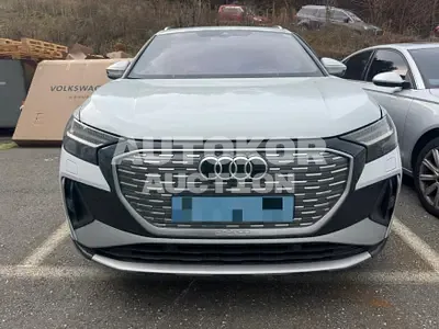 2022, Audi / e-tron, electric