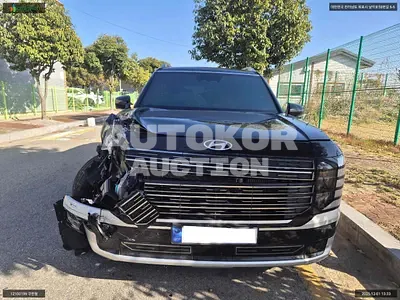 2025, Hyundai / Palisade, VIN: KMHRK81ADTU031124, hybrid, 2497 куб.см.