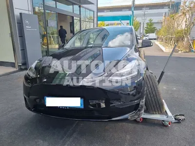 2022, Tesla / Model Y, VIN: 7SAYGDEE0NF416541, 4864 км., electric