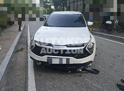 2024, Kia / Sportage, hybrid, 1598 куб.см.
