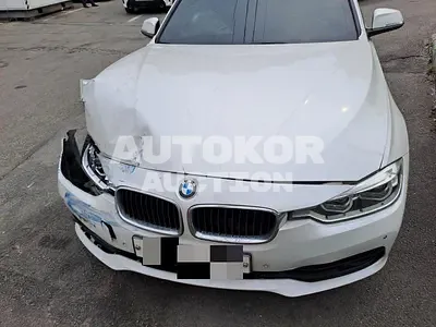 2017, BMW / 320, 101504 км., diesel, 1995 куб.см.