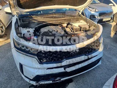 2021, Kia / Sorento, VIN: KNARL81BHMA045671, diesel