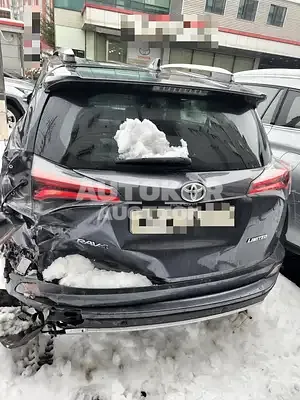 2016, Toyota / RAV4, VIN: JTMYFREV2GD089230, 116508 км., gas