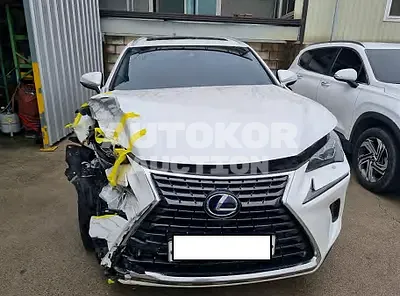 2019, Lexus / NX 300, VIN: JTJBJRBZ9K2119465, hybrid