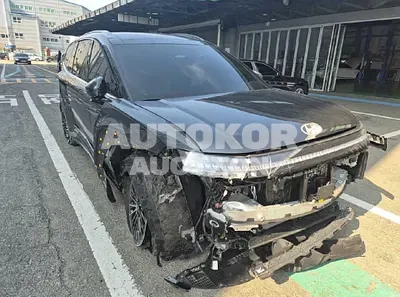 2025, Hyundai / ioniq 9, VIN: KMHMU815PSA002074, 14869 км., electric