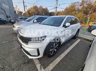 2021, Kia / Sorento, VIN: KNARM81BGMA101491, 18262 км., diesel