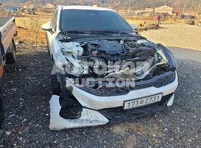 2020, Kia / K5, VIN: KNAG241ABLA042124, 31260 км., gas
