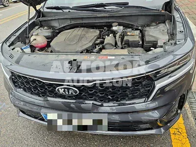 2021, Kia / Sorento, VIN: KNARL81BHMA085318, 39000 км., diesel, 2200 куб.см.