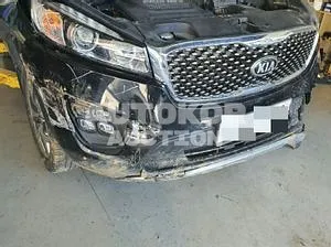 2016, Kia / Sorento, VIN: KNAPS81ADGA229703, 101407 км., diesel, 1995 куб.см.