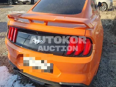 2020, Ford / Mustang, VIN: 1FA6P8TH4L5141205, 21201 км., gas