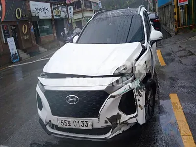 2019, Hyundai / Santa FE, VIN: KMHS281BBKU163646, diesel