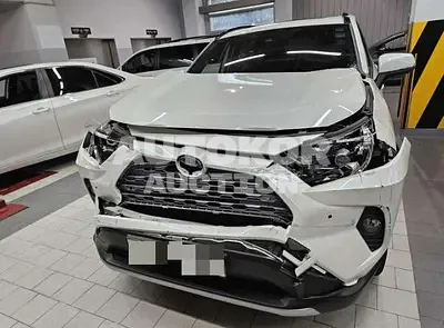 2019, Toyota / RAV4, hybrid, 2487 куб.см.