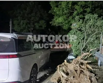 2023, Kia / Carnival, diesel, 2151 куб.см.