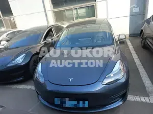 2022, Tesla / Model 3, VIN: 5YJ3E1EB2NF307581, 29989 км., electric, 236 куб.см.