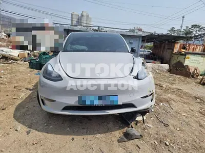 2022, Tesla / Model Y, electric