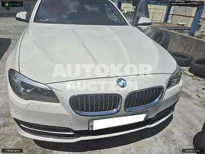 2015, BMW / 528, VIN: WBA5A5104FG175301, gas
