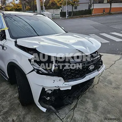 2021, Kia / Sorento, VIN: KNARH81GBMA018680, 83637 км., hybrid, 1600 куб.см.