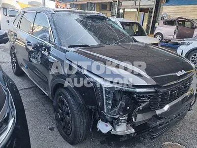 2024, Kia / Sorento, VIN: KNARK81GBRA276951, hybrid