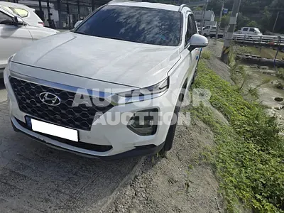 2020, Hyundai / Santa FE, VIN: KMHS281BBLU247848, diesel