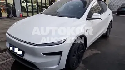2025, Tesla / Model Y, VIN: LRWYGCFJ7SC240774, 3654 км., electric
