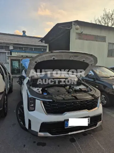 2025, Kia / Sorento, VIN: KNARH81BGSA317712, diesel, 2200 куб.см.