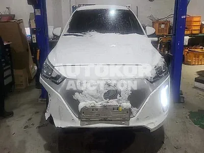 2017, Hyundai / Ioniq, VIN: KMHC051HFJU016827, 217175 км., electric, 1 куб.см.
