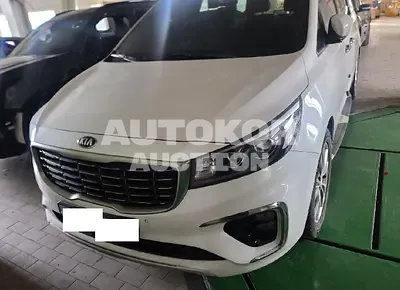2019, Kia / Carnival, VIN: KNAME811BKS456641, 48358 км., gas